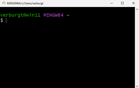 Git Bash Window