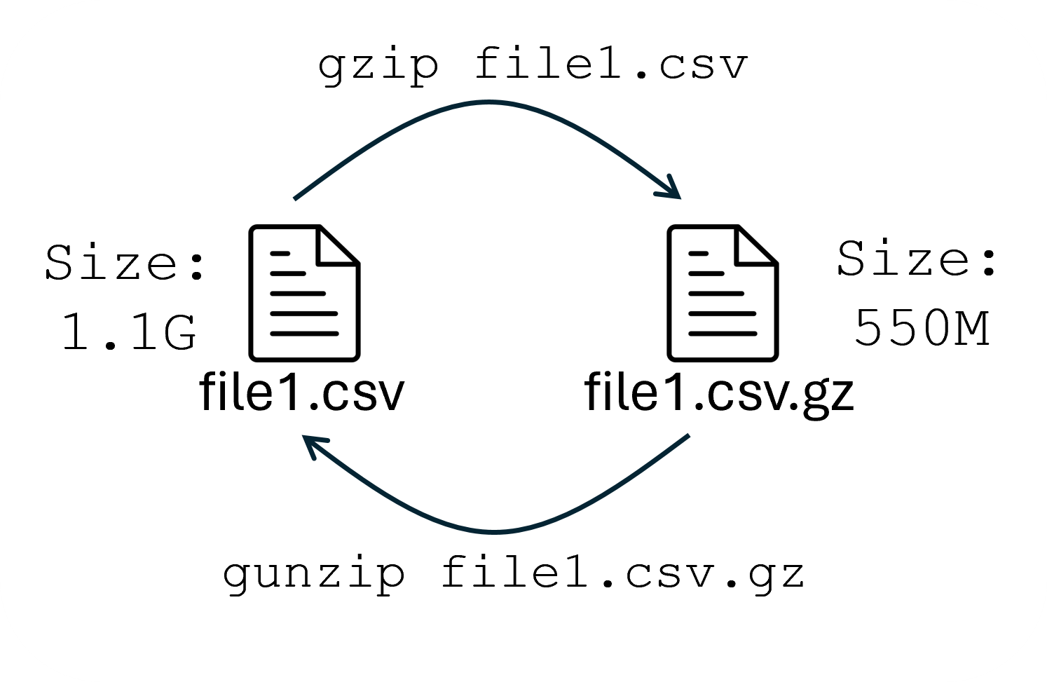 An image showing the gzip command converting a 1.1G file, file1.csv to a 55M file, file2.csv.gz, with the gunzip command converting it back